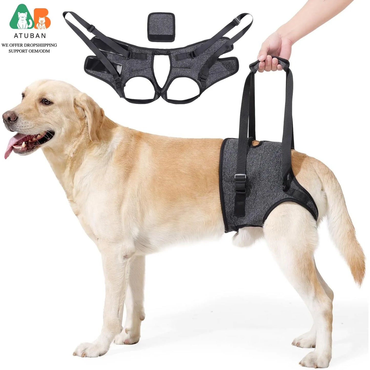 Hind Leg Support Sling