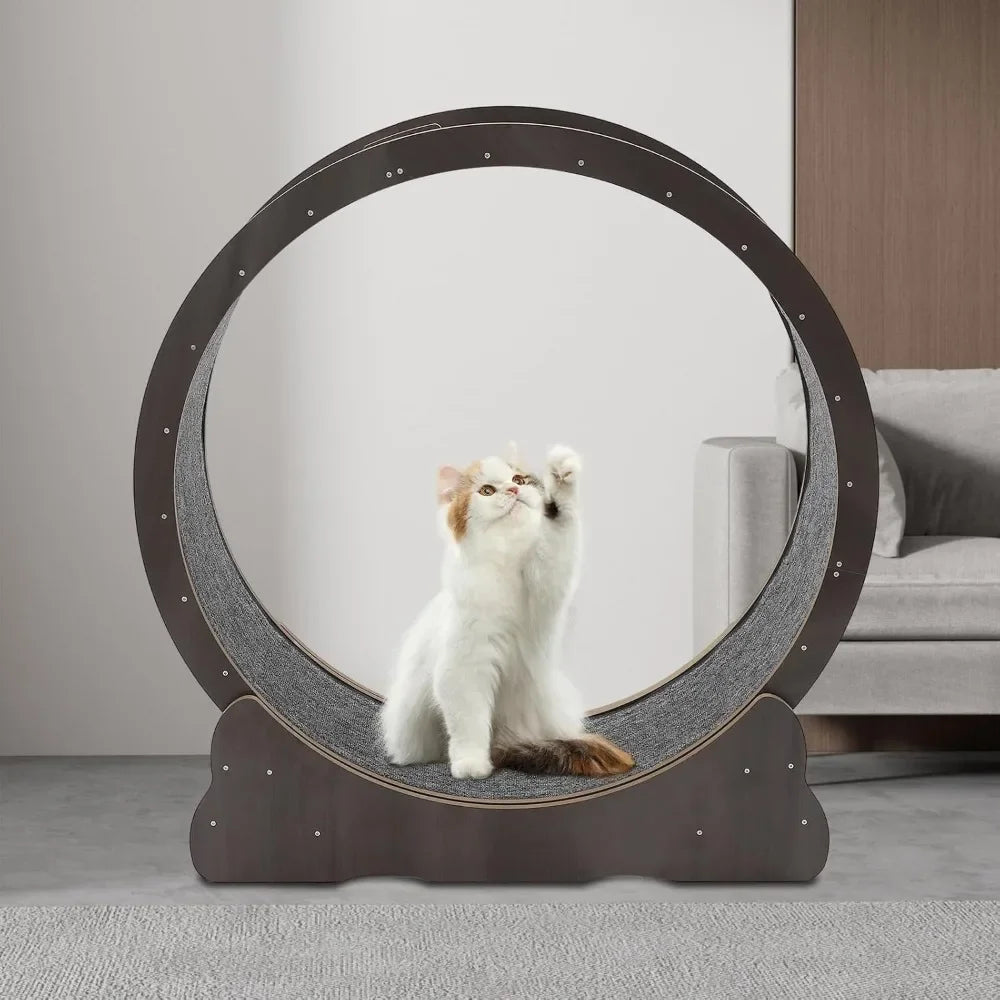 Exercise Wheel Cat Treadmill