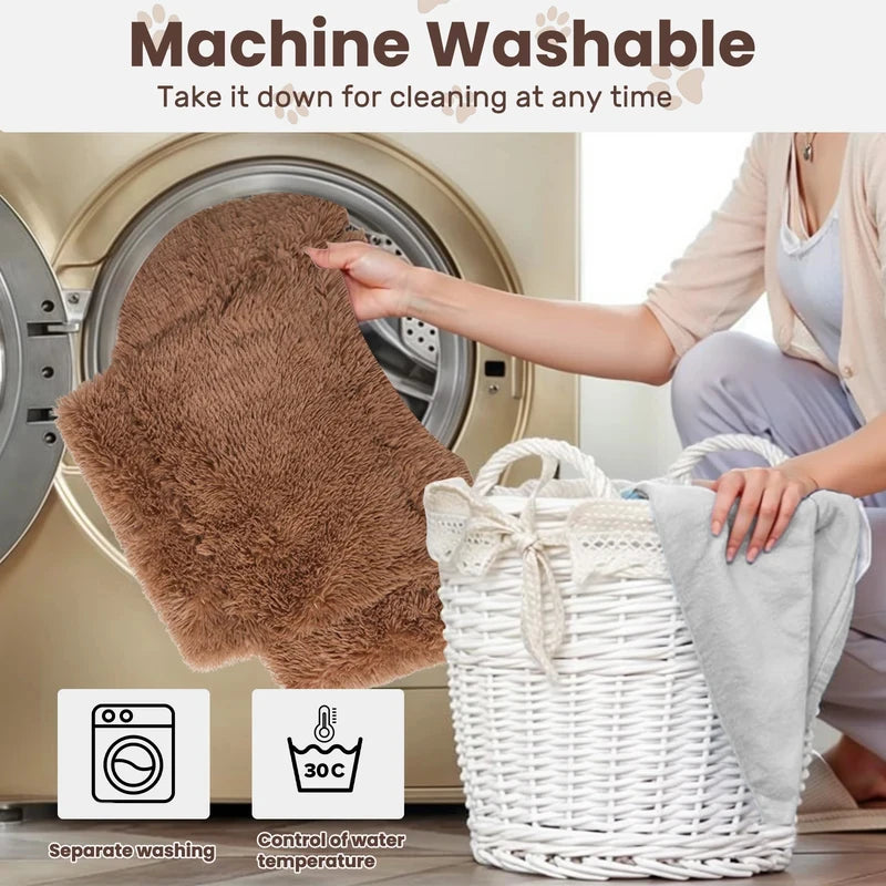 Raised Plush Sofa Bed