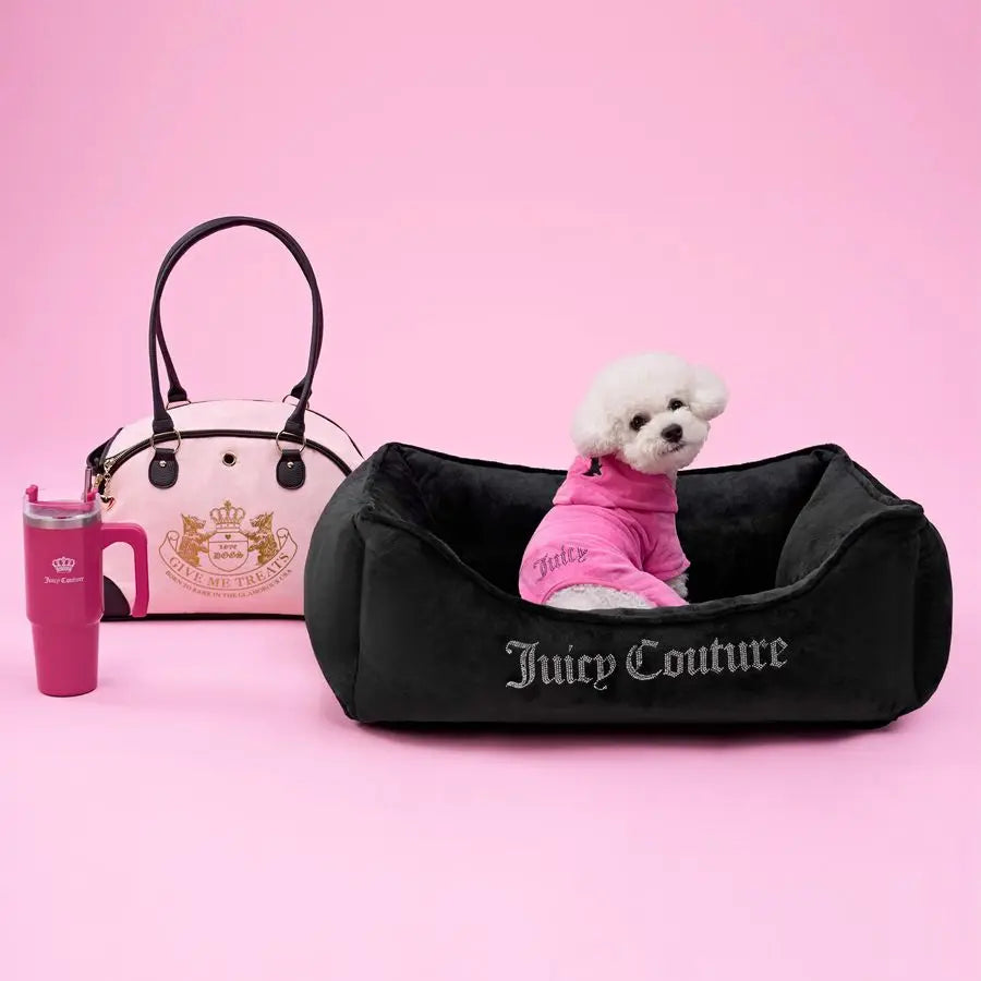 Pet Carrier Stylish