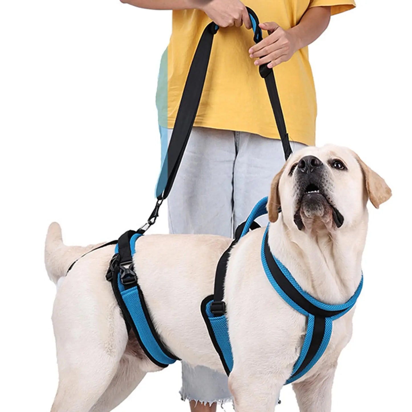 Elderly Dog Support Sling