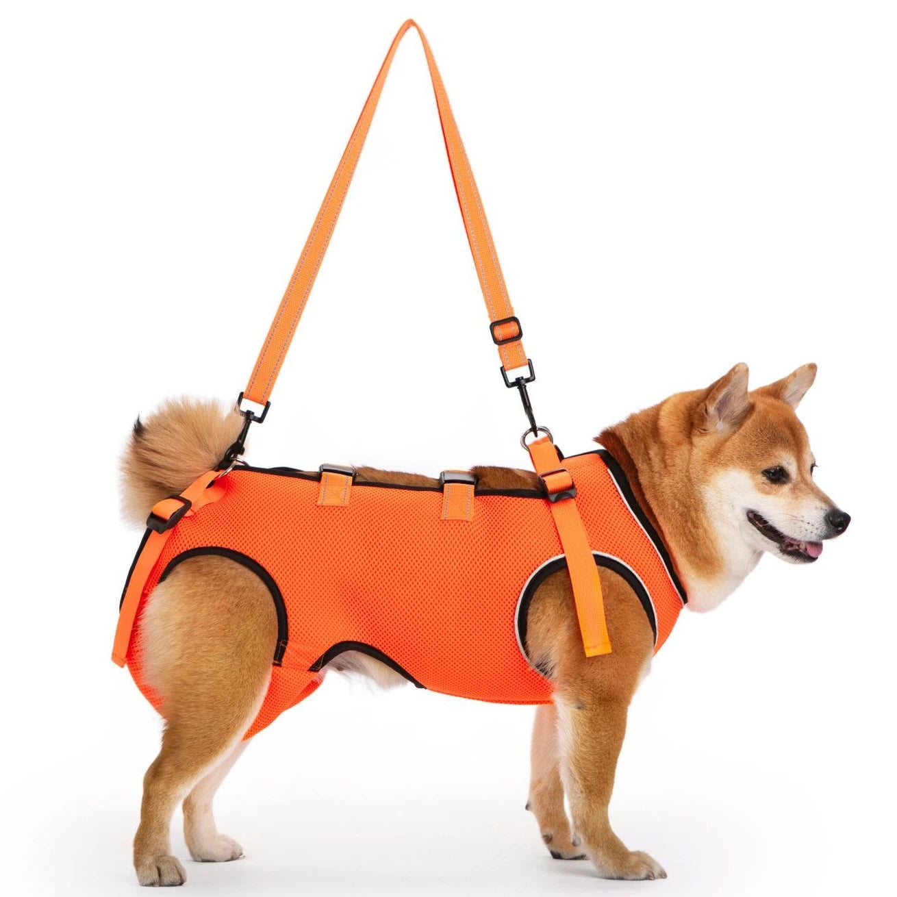 Dog Lift Harness,