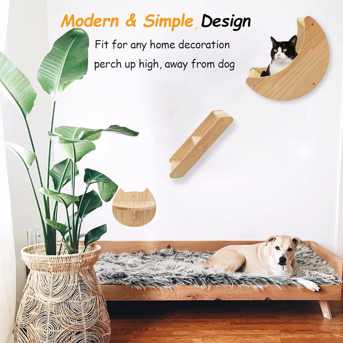 Indoor Cats Wall Furniture