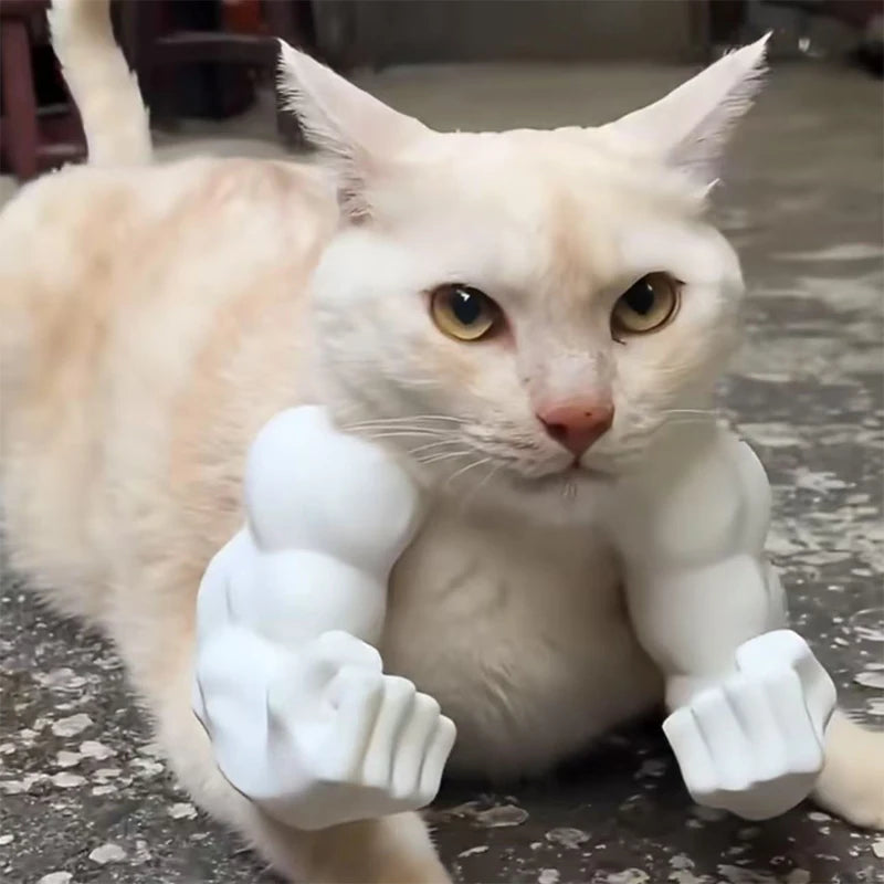 Funny Cat Muscle Arms