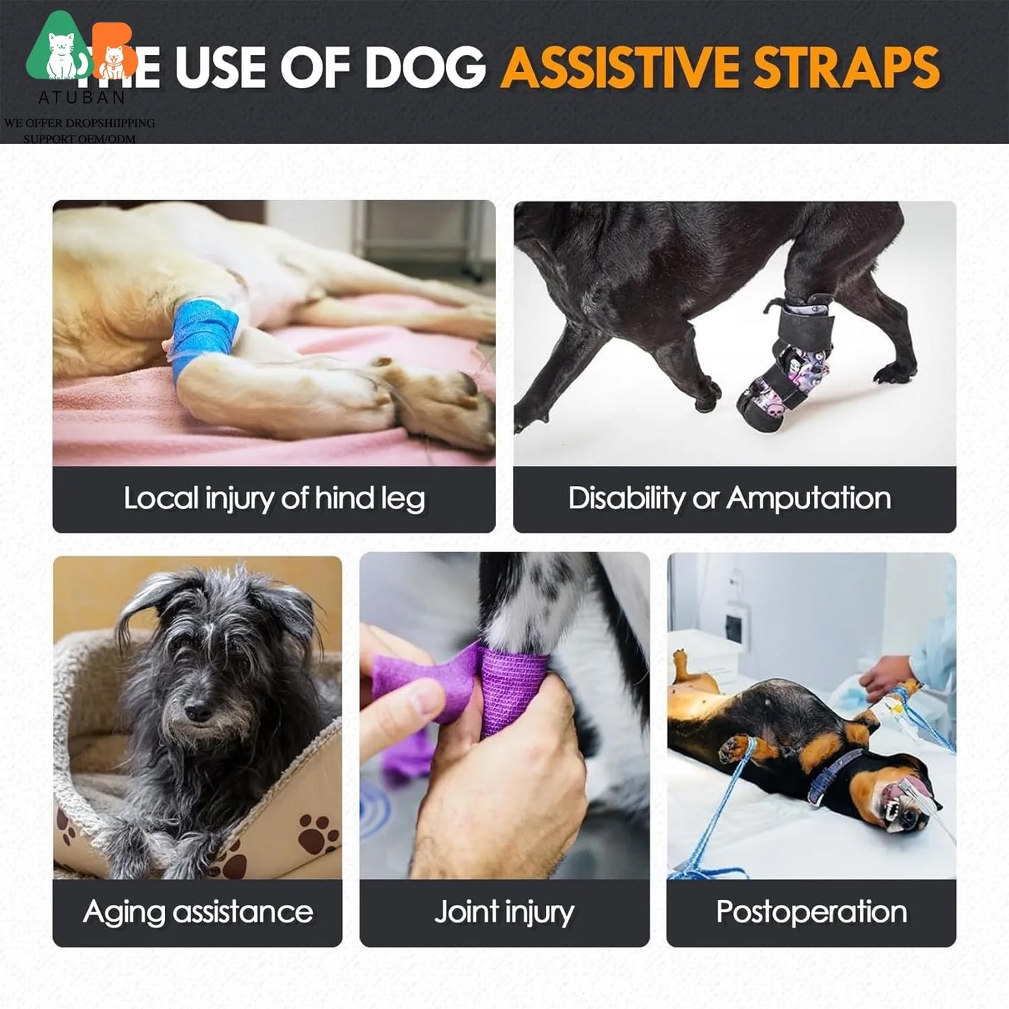 Hind Leg Support Sling