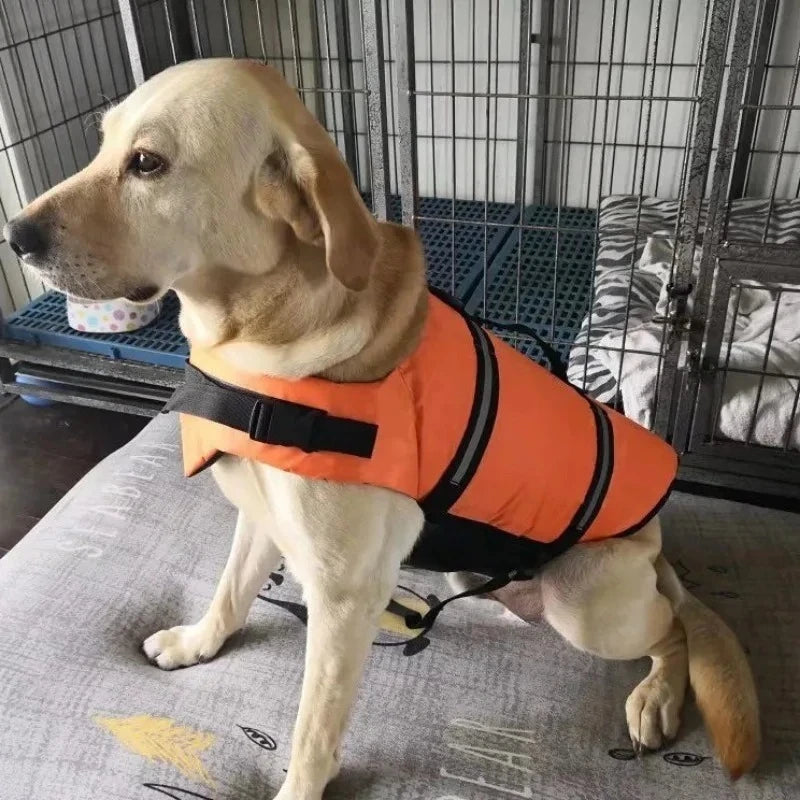 Dog Life Jacket