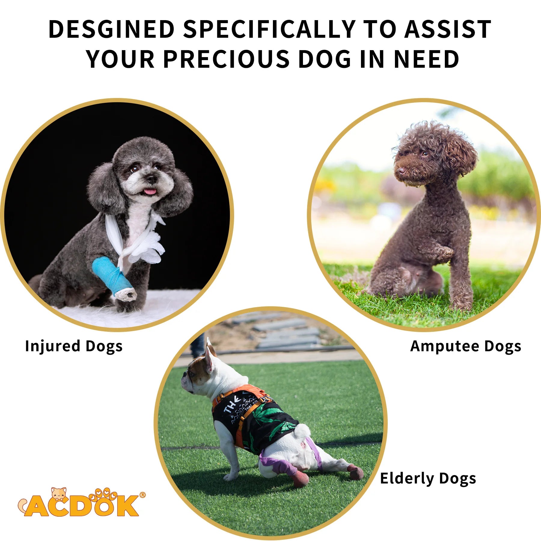 Dog Lift Harness,
