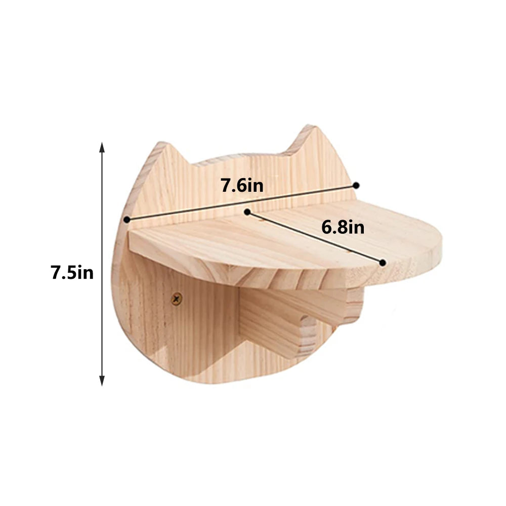 Indoor Cats Wall Furniture