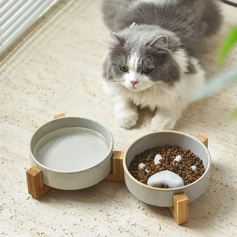 Pet Bowl Dish