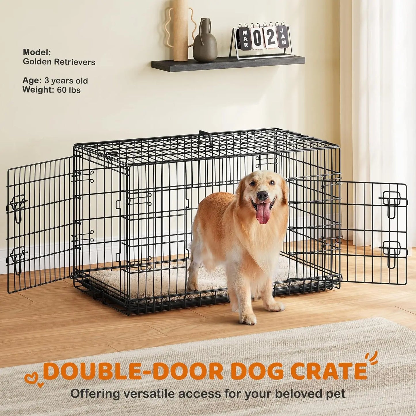 Double Door Dog Crate w/Divider