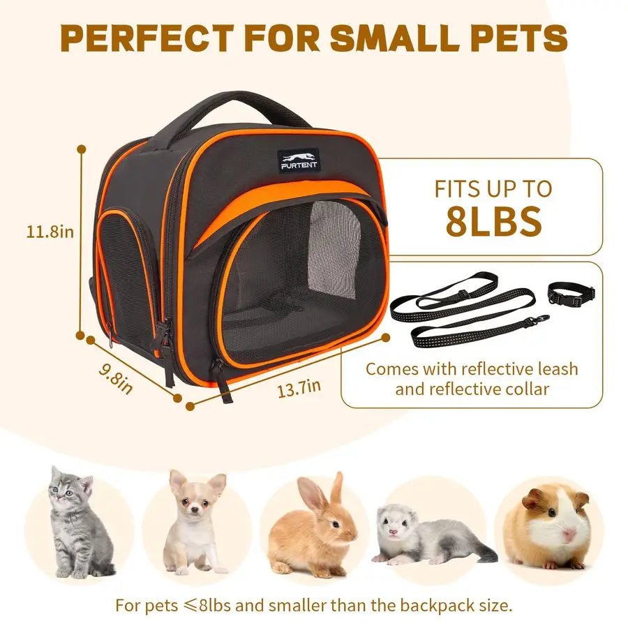 Breathable Collapsible Pet Bag