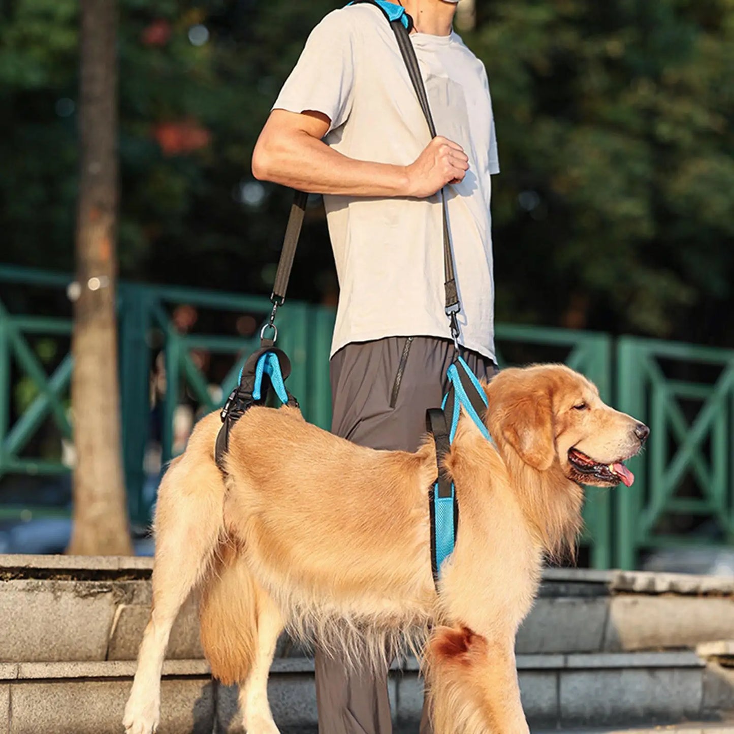 Elderly Dog Support Sling