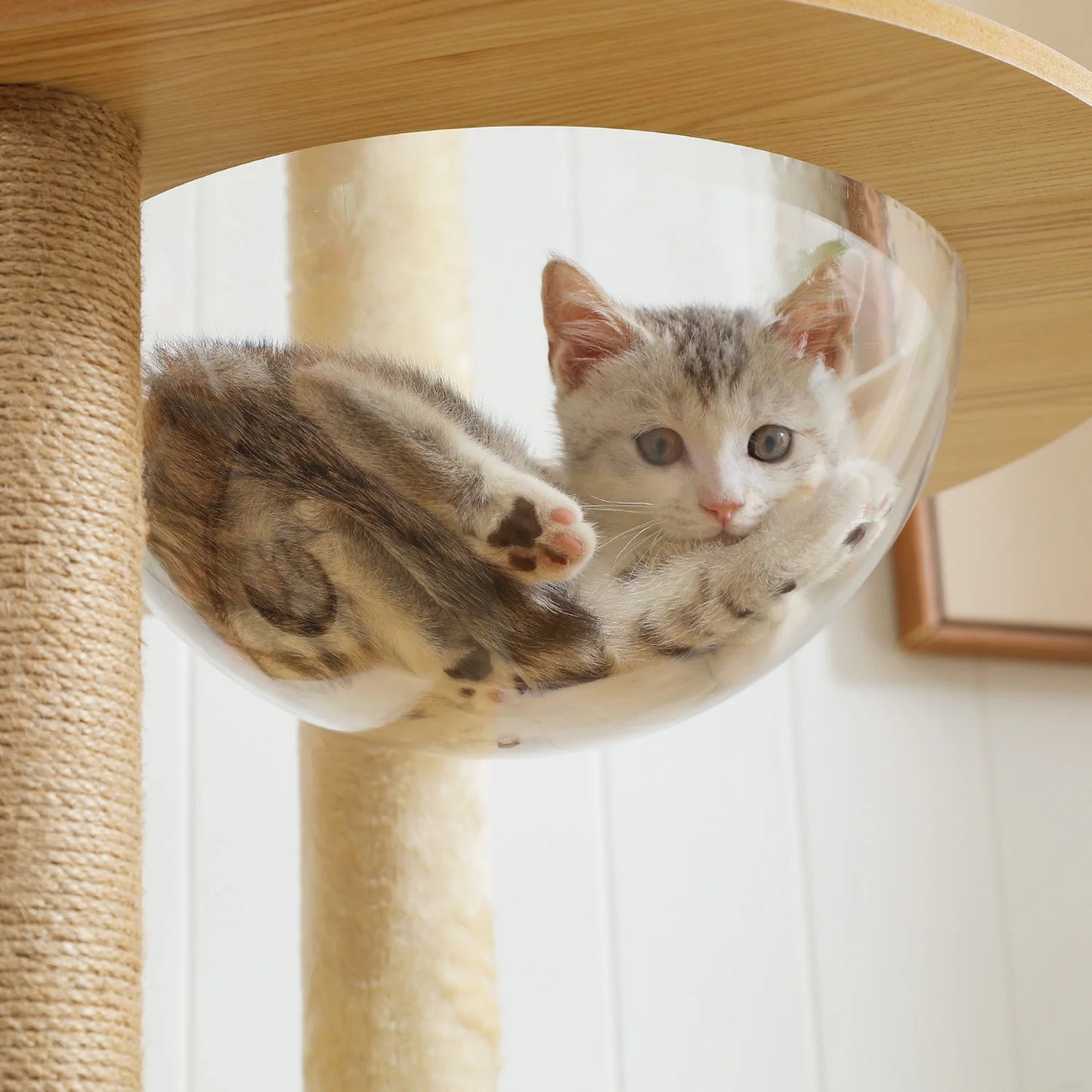 Indoor Wood Cat Tower