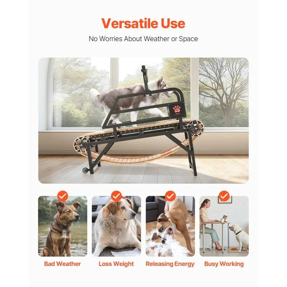 Heavy Duty Dog Treadmill
