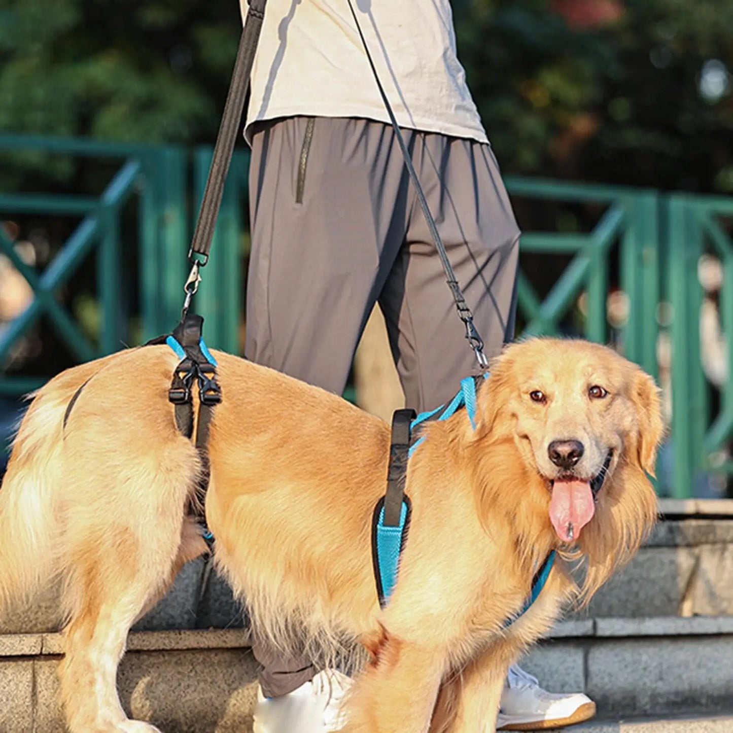 Elderly Dog Support Sling