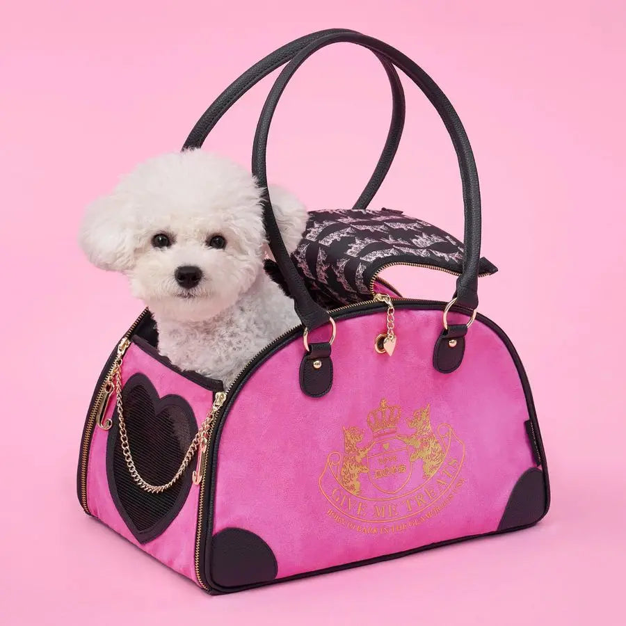 Pet Carrier Stylish