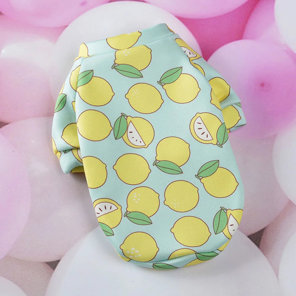 Hairless Cat Shirt Sweater