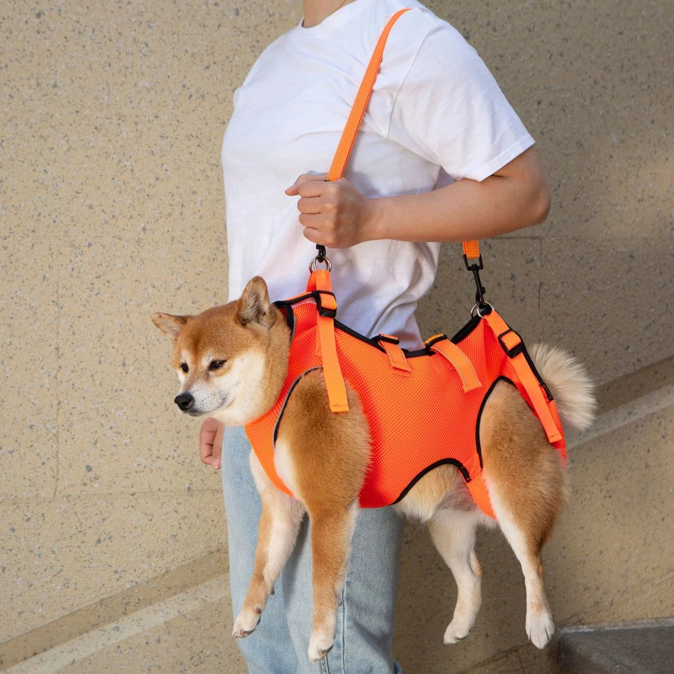 Dog Lift Harness,