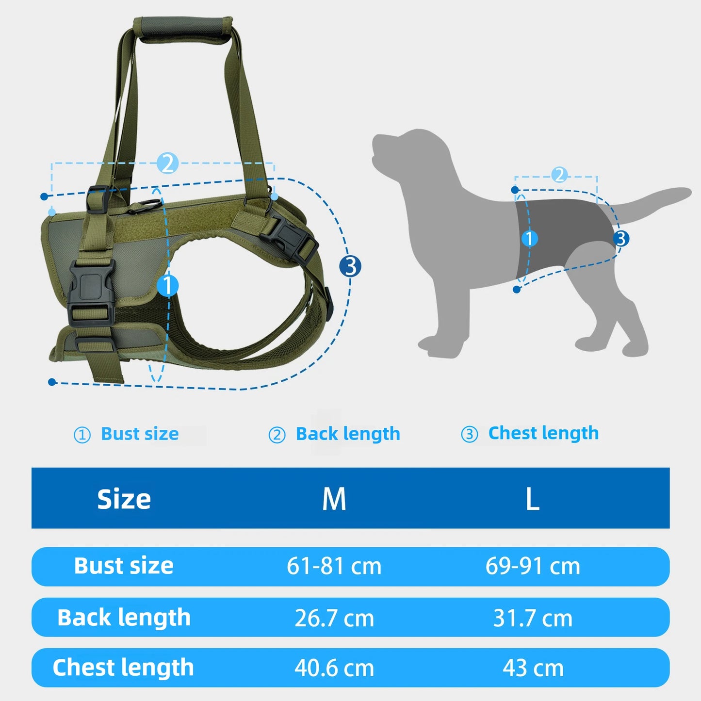 Dog Rear Leg Support Strap