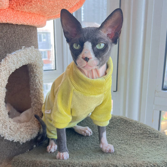 Sphynx Cat Yellow Sweatshirt