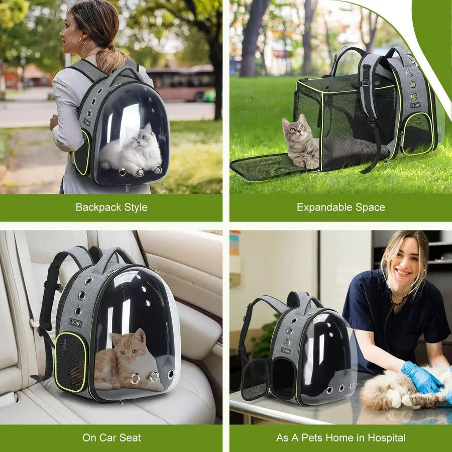 Transparent Pet Carrier