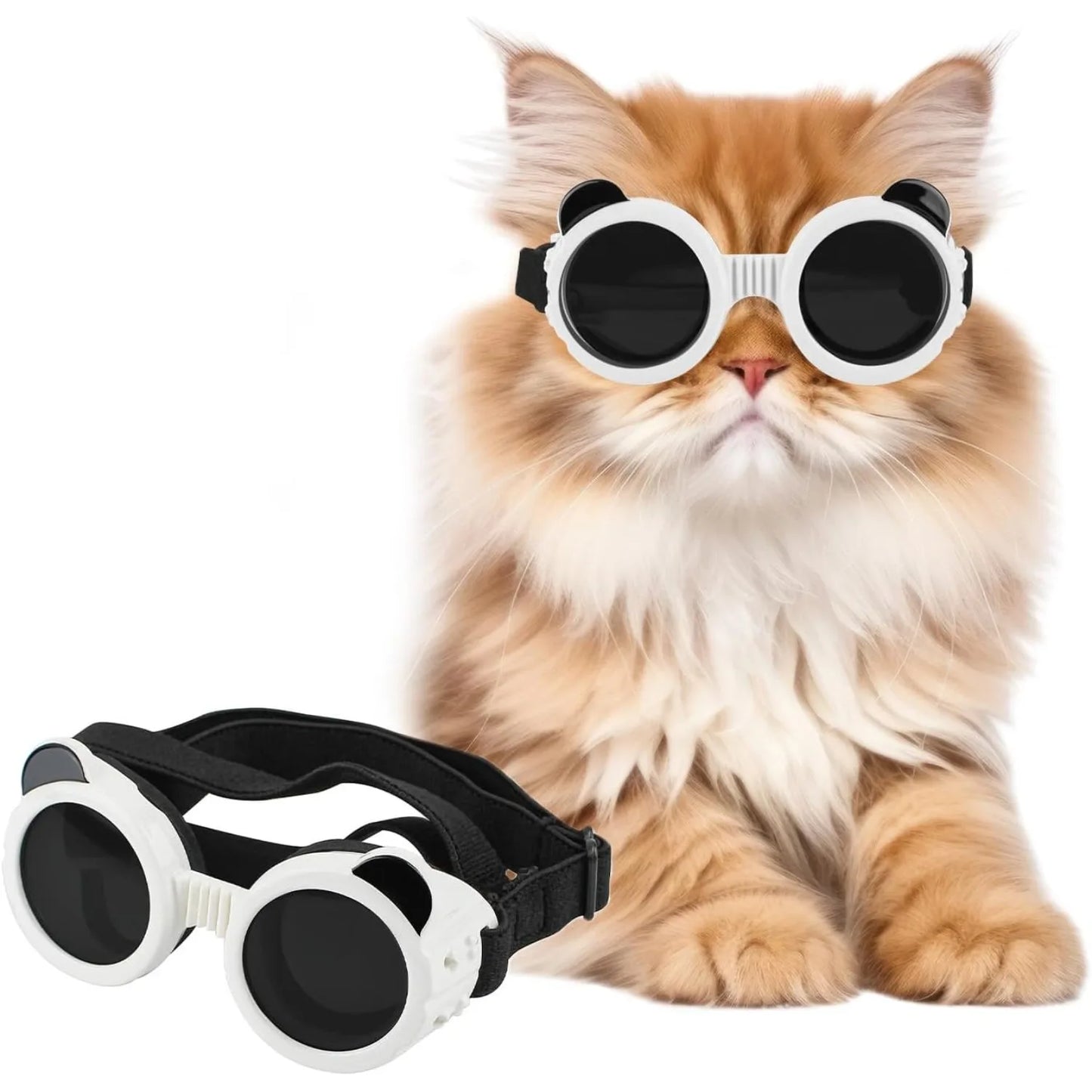 Small Breed UV Protection Windproof