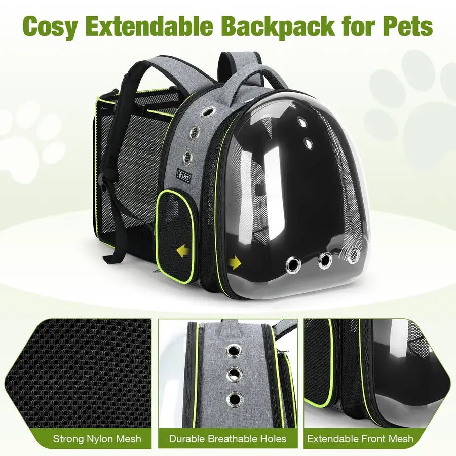 Transparent Pet Carrier