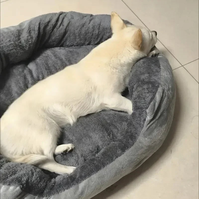 Dog Bed Pets