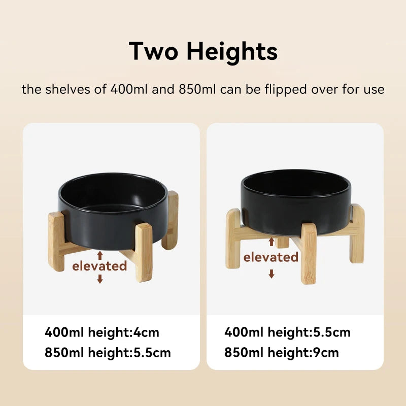 Cat Elevated Drinking Eating Bowl