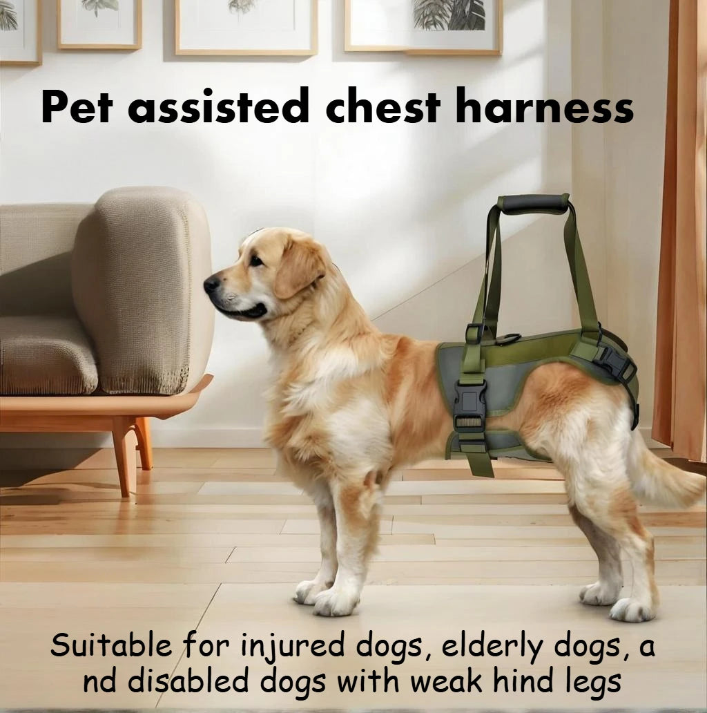 Dog Rear Leg Support Strap