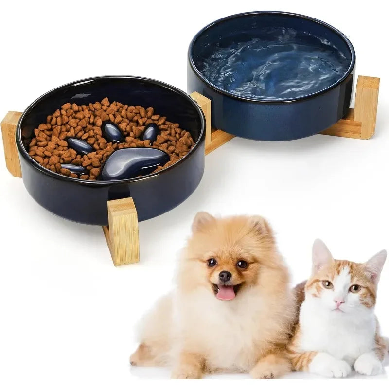 Pet Bowl Dish