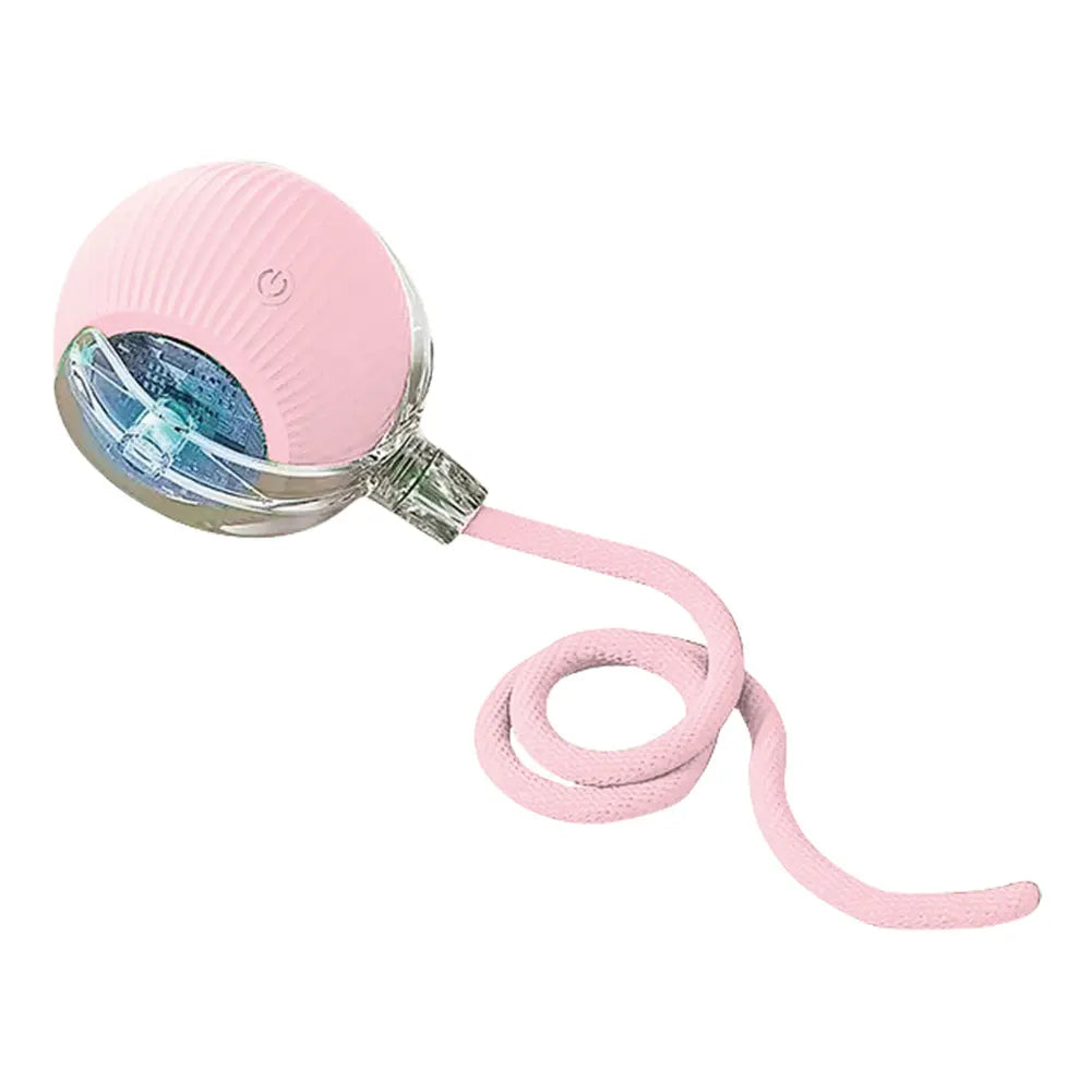 Cat Toys