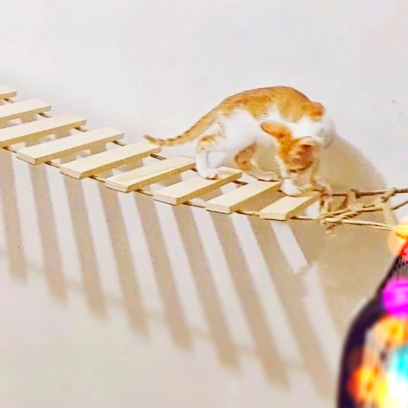 Wall-mounted Activity Cat