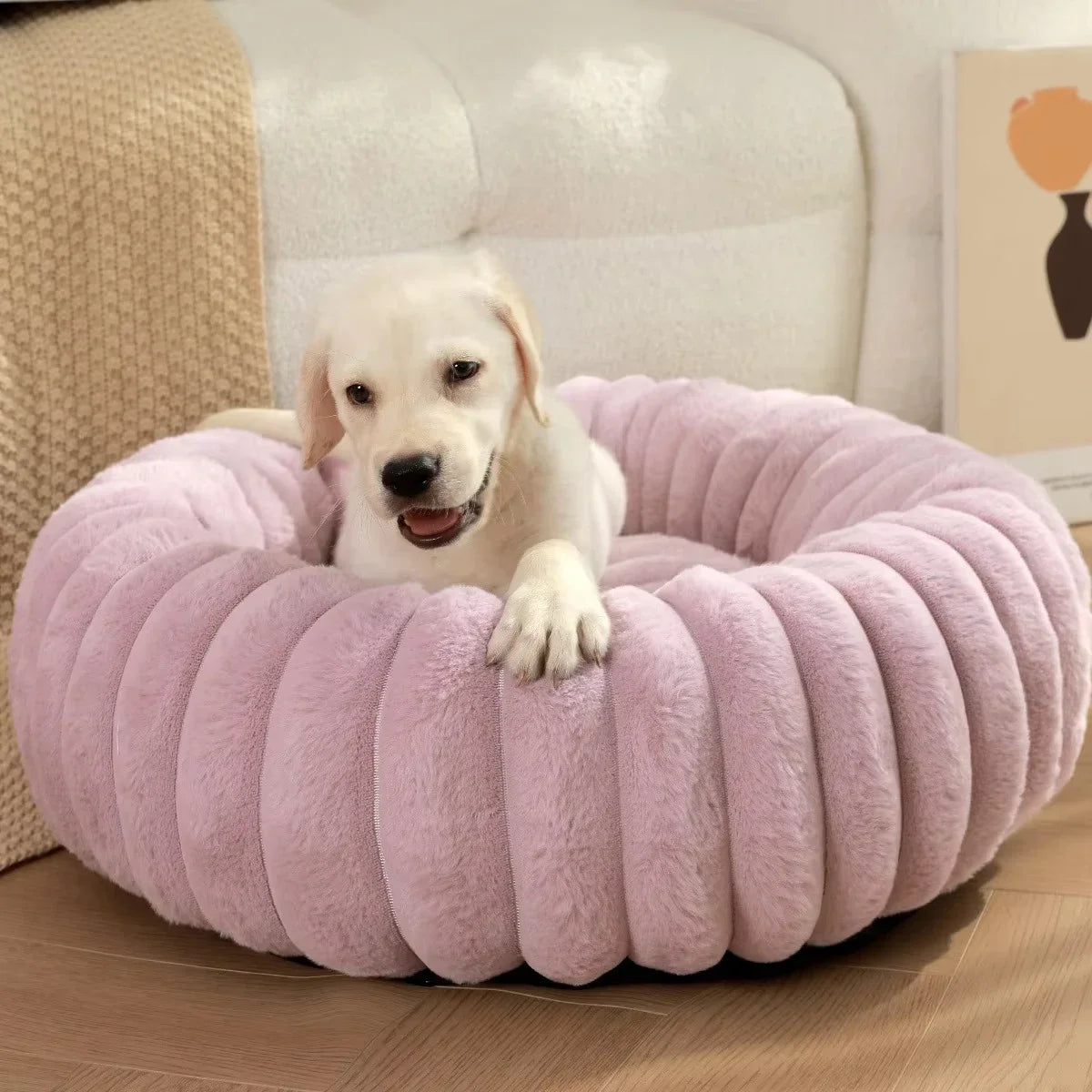 Warm Sleeping Dog House Supplies