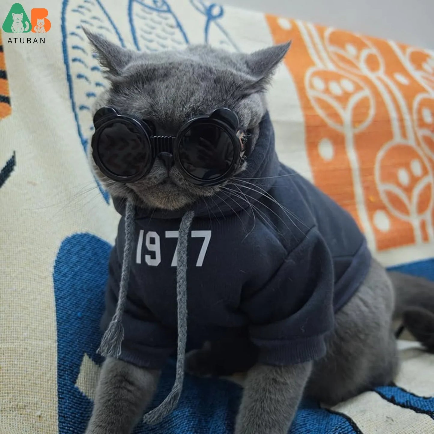 Small Breed UV Protection Windproof