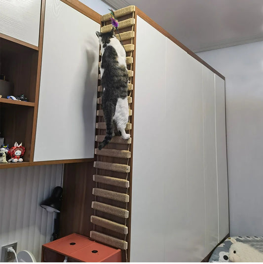 Wall-mounted Activity Cat