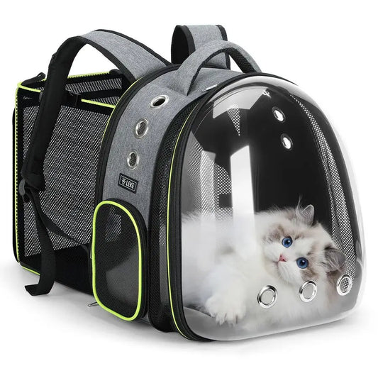 Transparent Pet Carrier