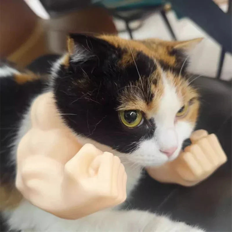 Funny Cat Muscle Arms