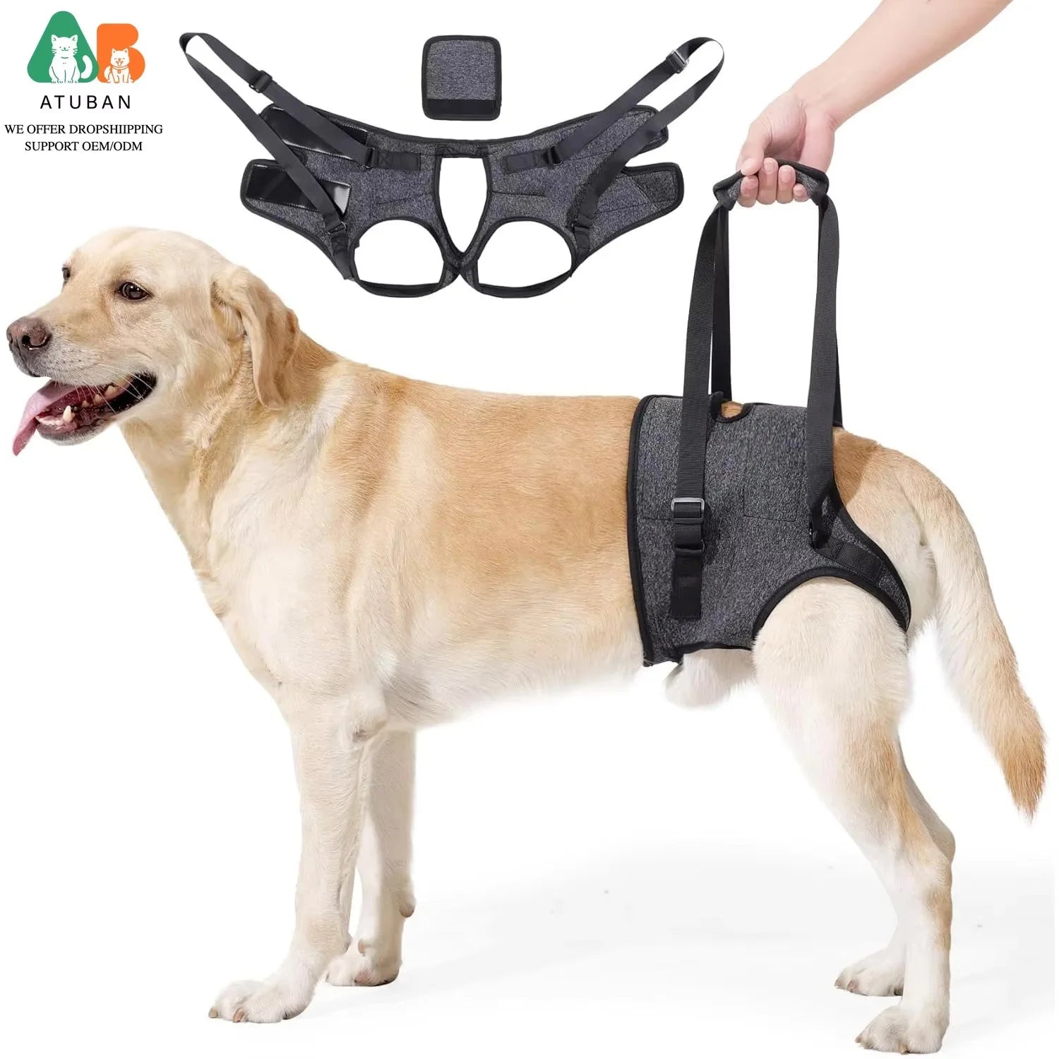 Hind Leg Support Sling