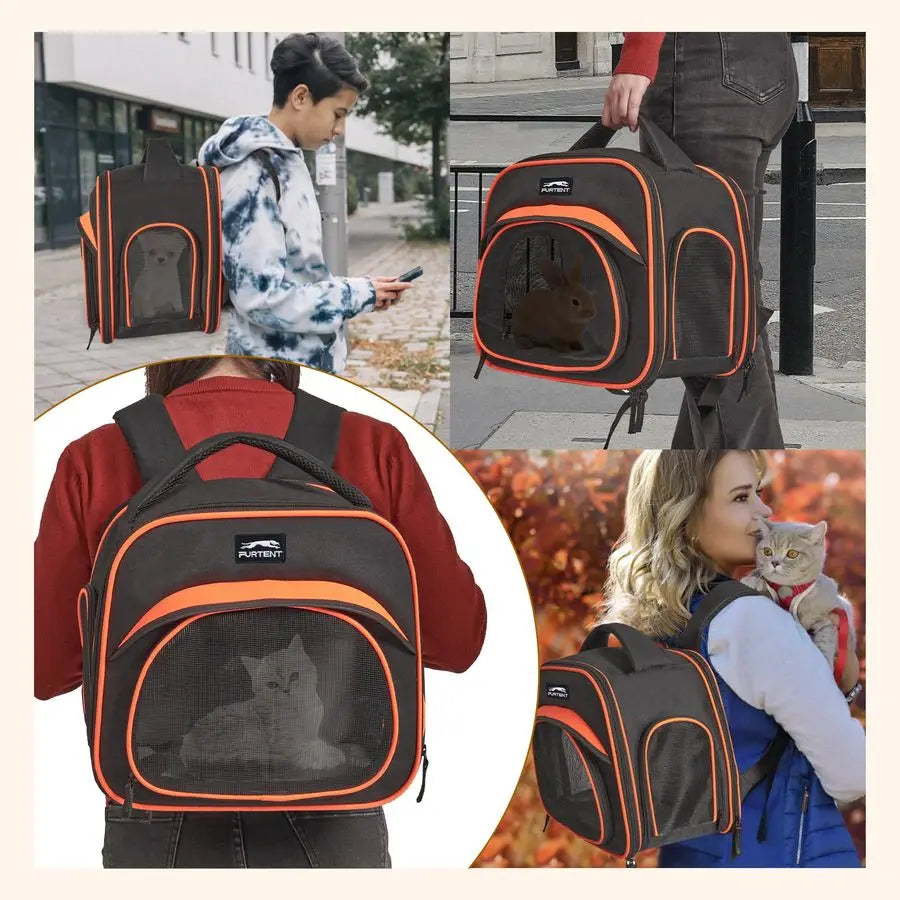 Breathable Collapsible Pet Bag