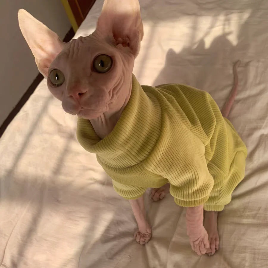 Sphynx Cat Yellow Sweatshirt