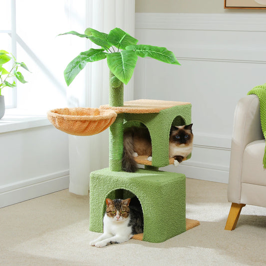 Multi-Level Cat Tree