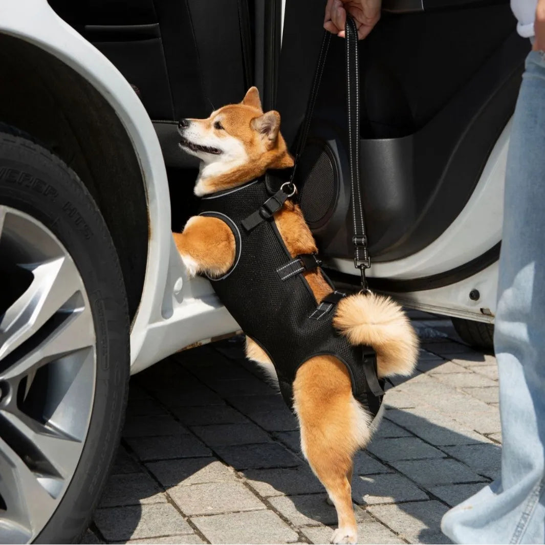 Dog Lift Harness,