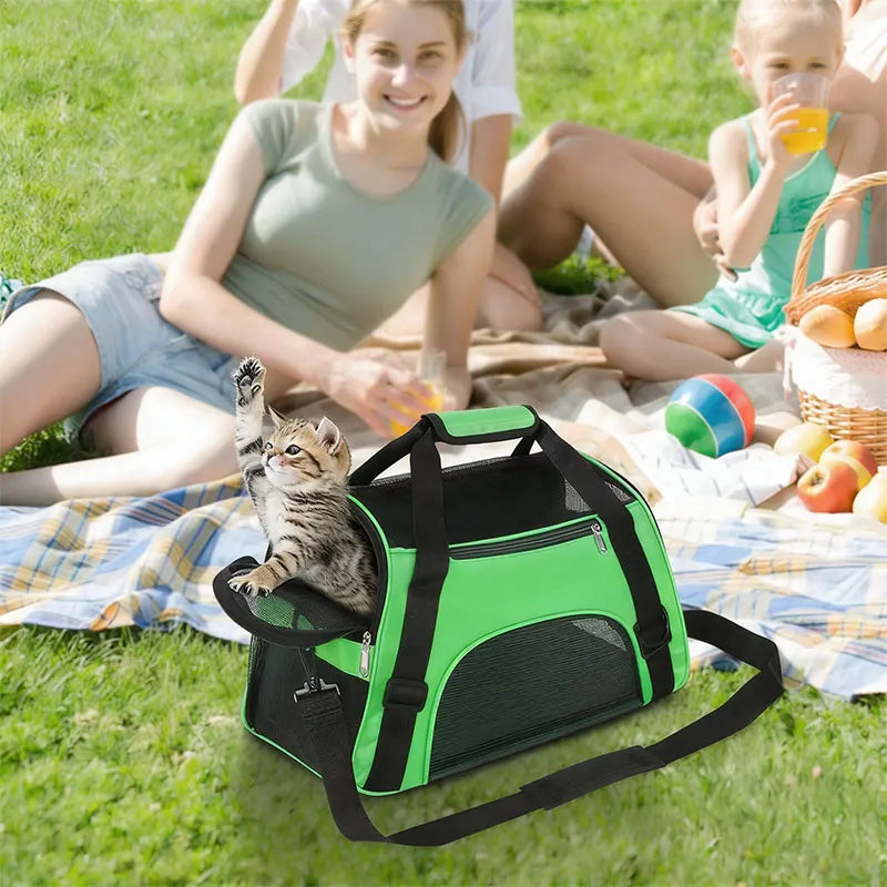 Foldable Pet Carrier Bag