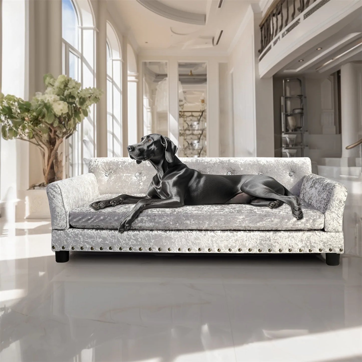 Dog Sofa Bed
