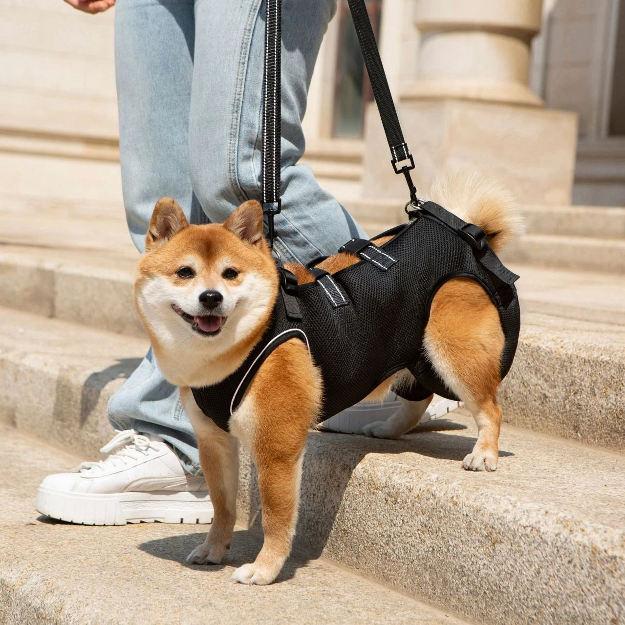 Dog Lift Harness,