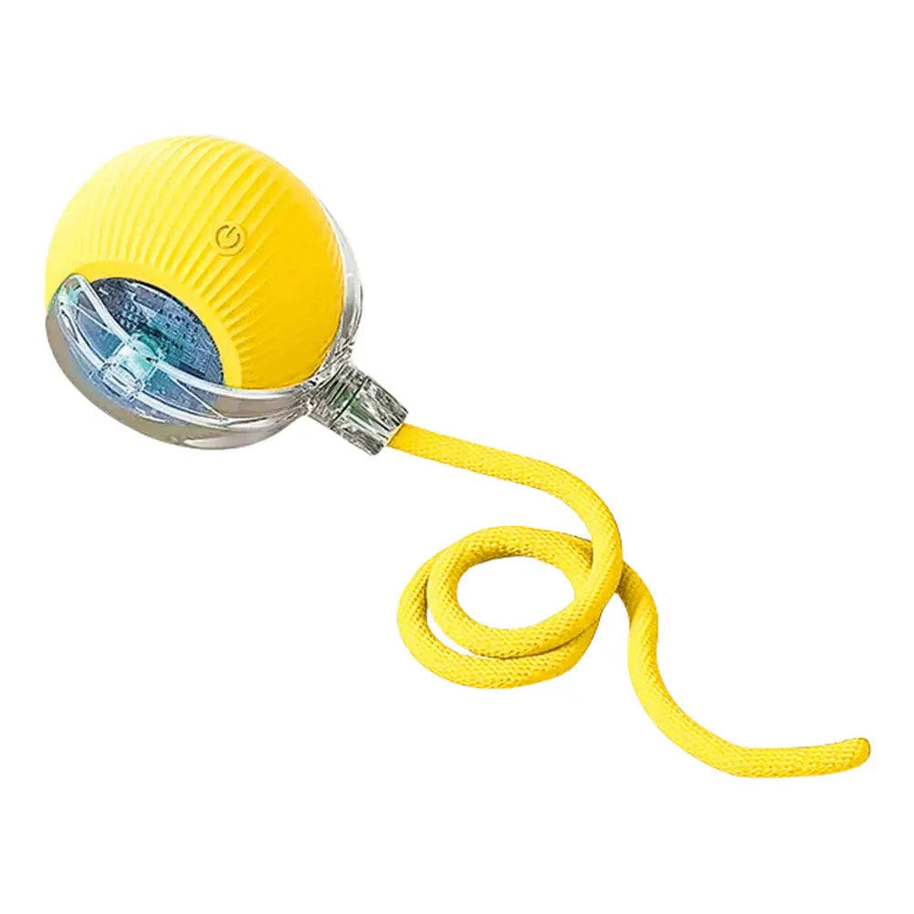 Cat Toys