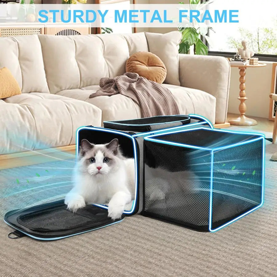 Airline Approved Cat Dog Carrier