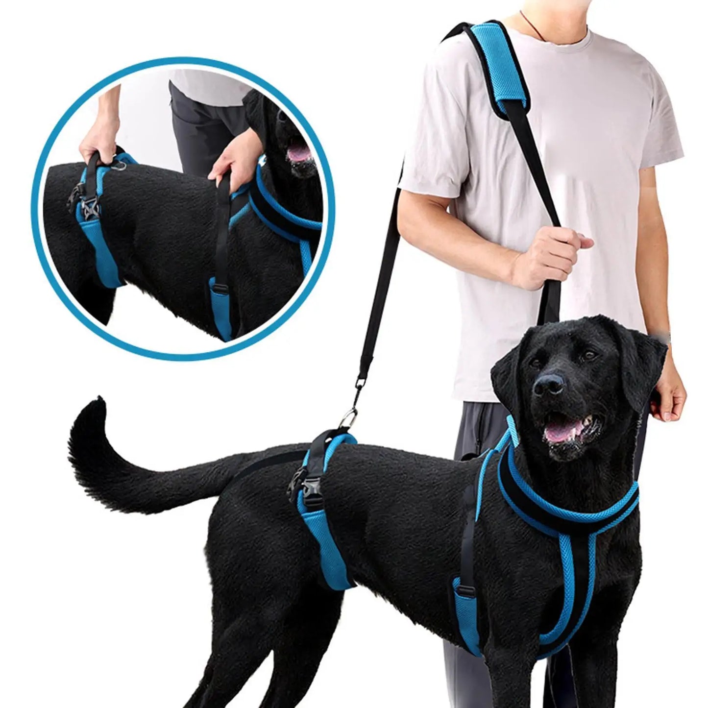 Elderly Dog Support Sling