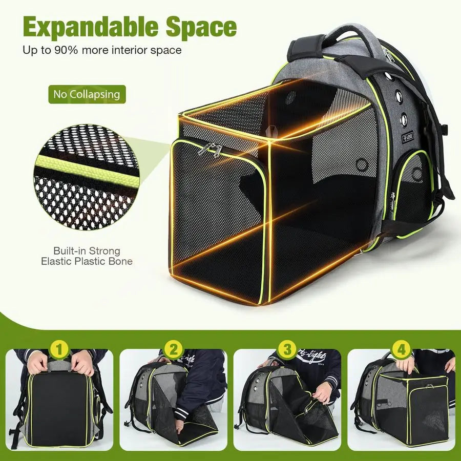 Transparent Pet Carrier